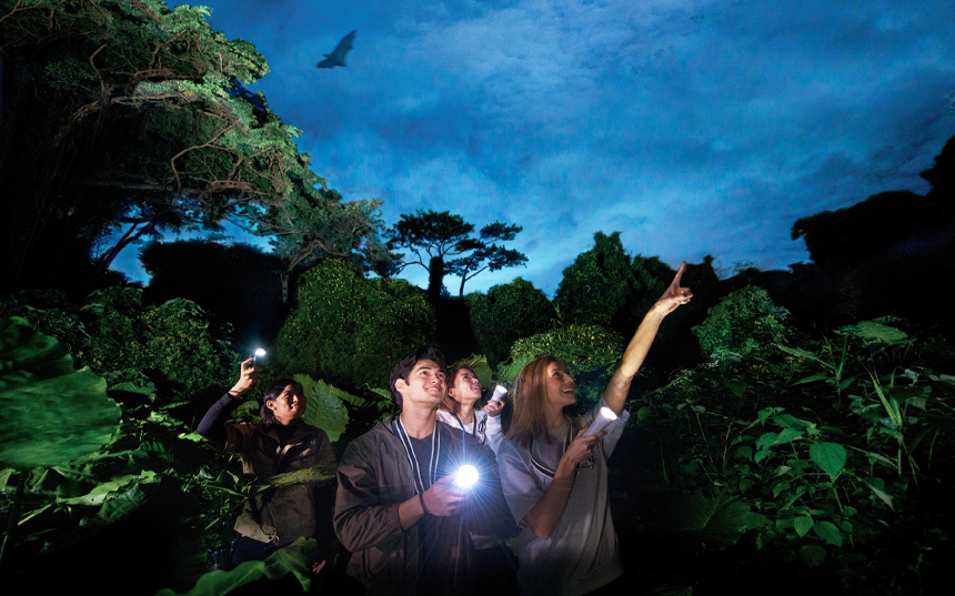 UWAGA JUNGLE（NIGHT TREKKING）