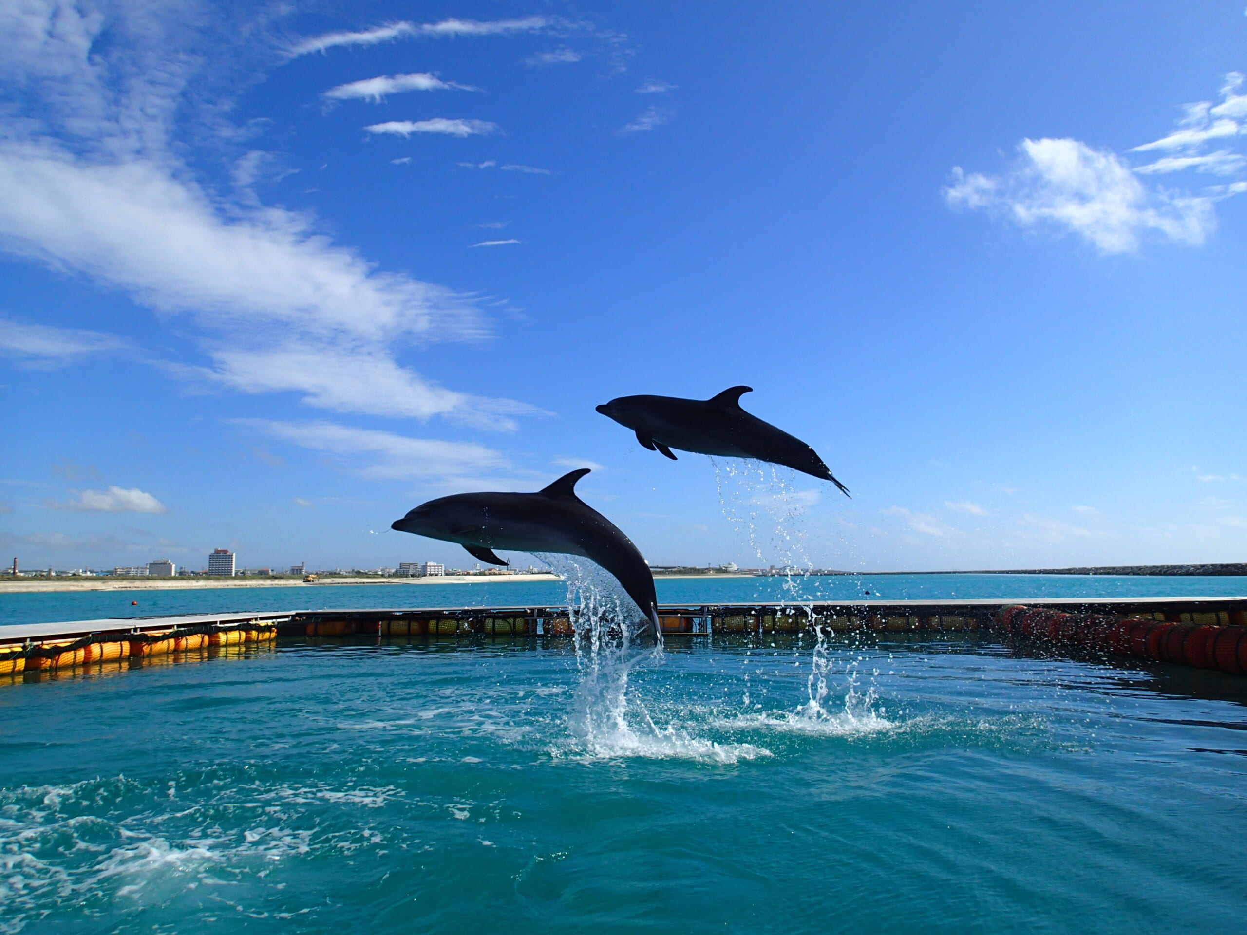 石垣島で遊ぶ　わくわく体験アクティビティー