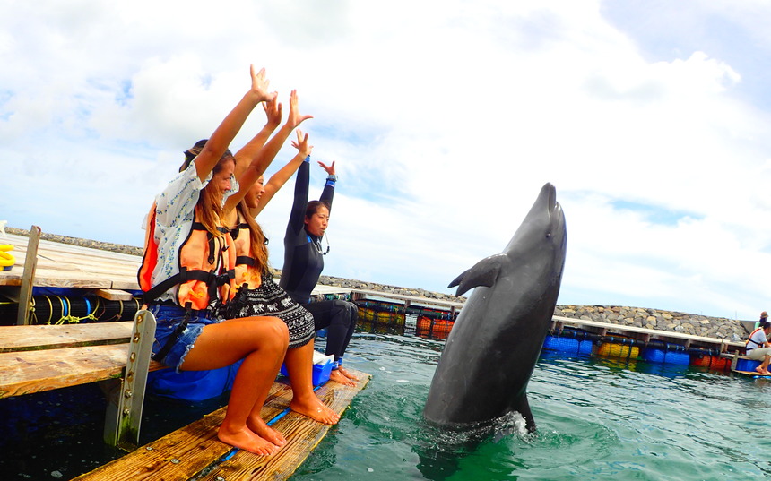 DOLPHIN FANTASY石垣島