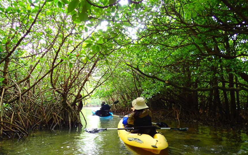 marine houseやまんぐぅ～