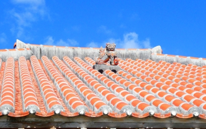 草木と墓石の販売の様子