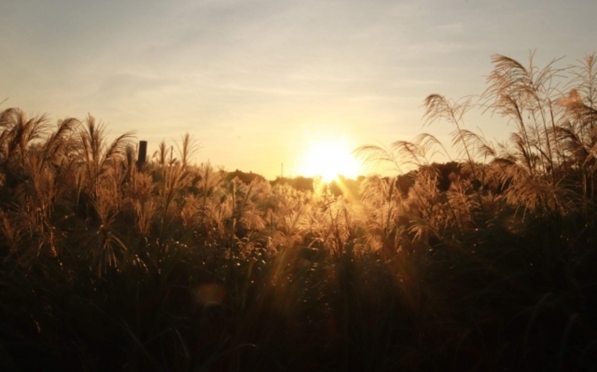 沖縄の秋の風景