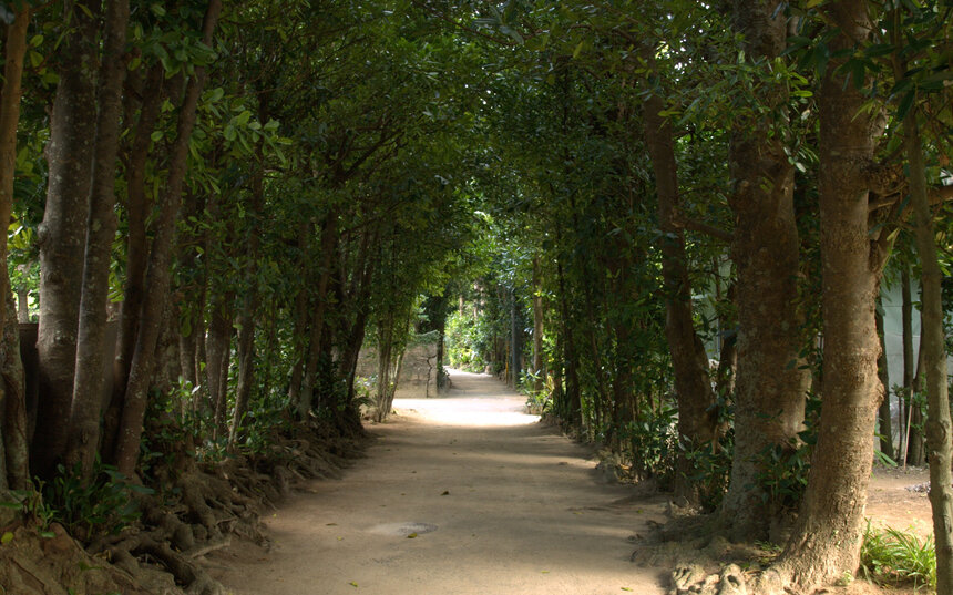 沖縄散歩イメージ